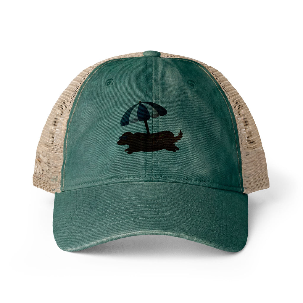 Hot Dog Dachshund Women's Cap