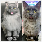Custom Pet Plush from Photo – Memorial Keepsake for Dogs & Cats