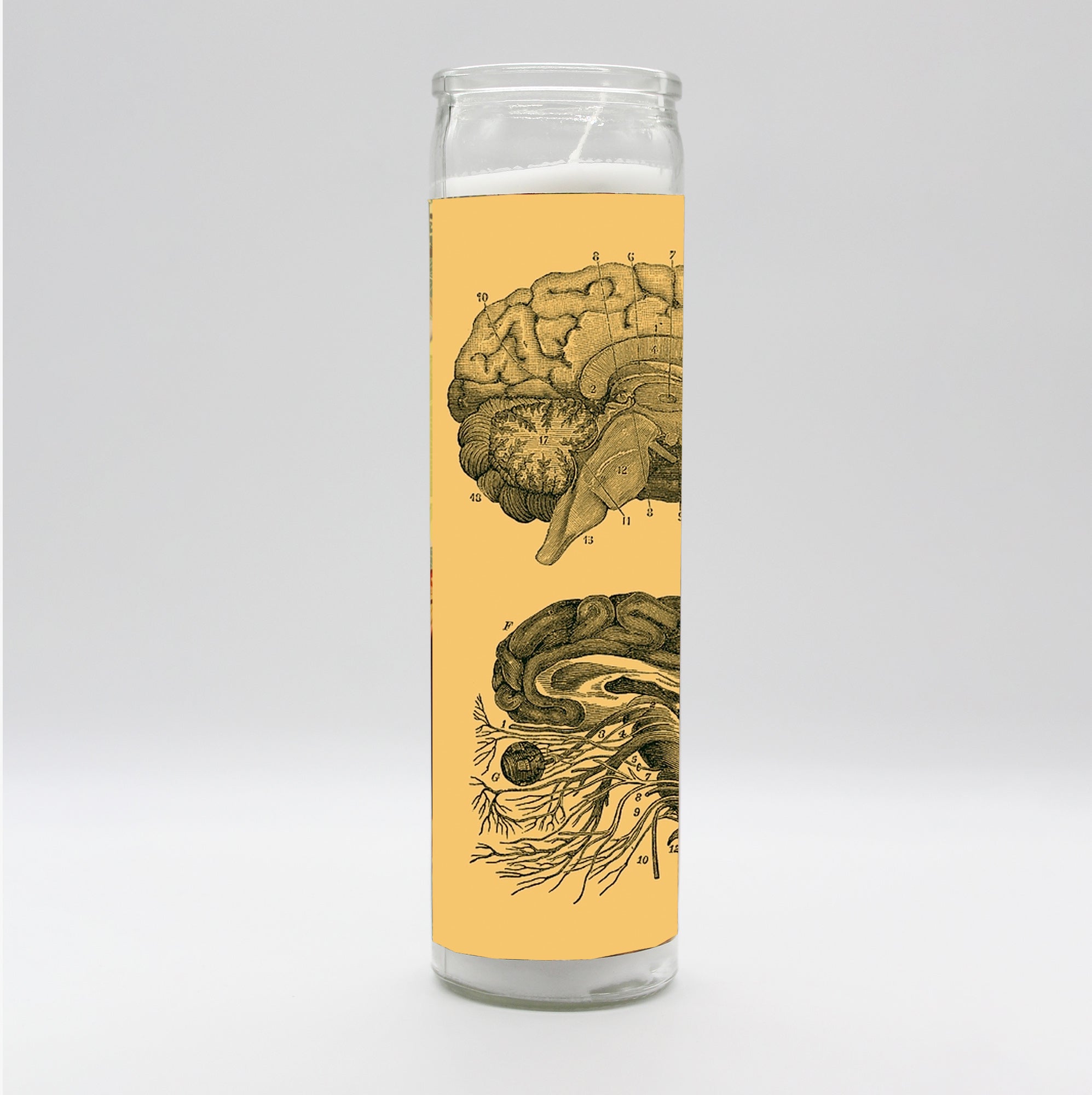 Saint Anatomy Design Candle Set