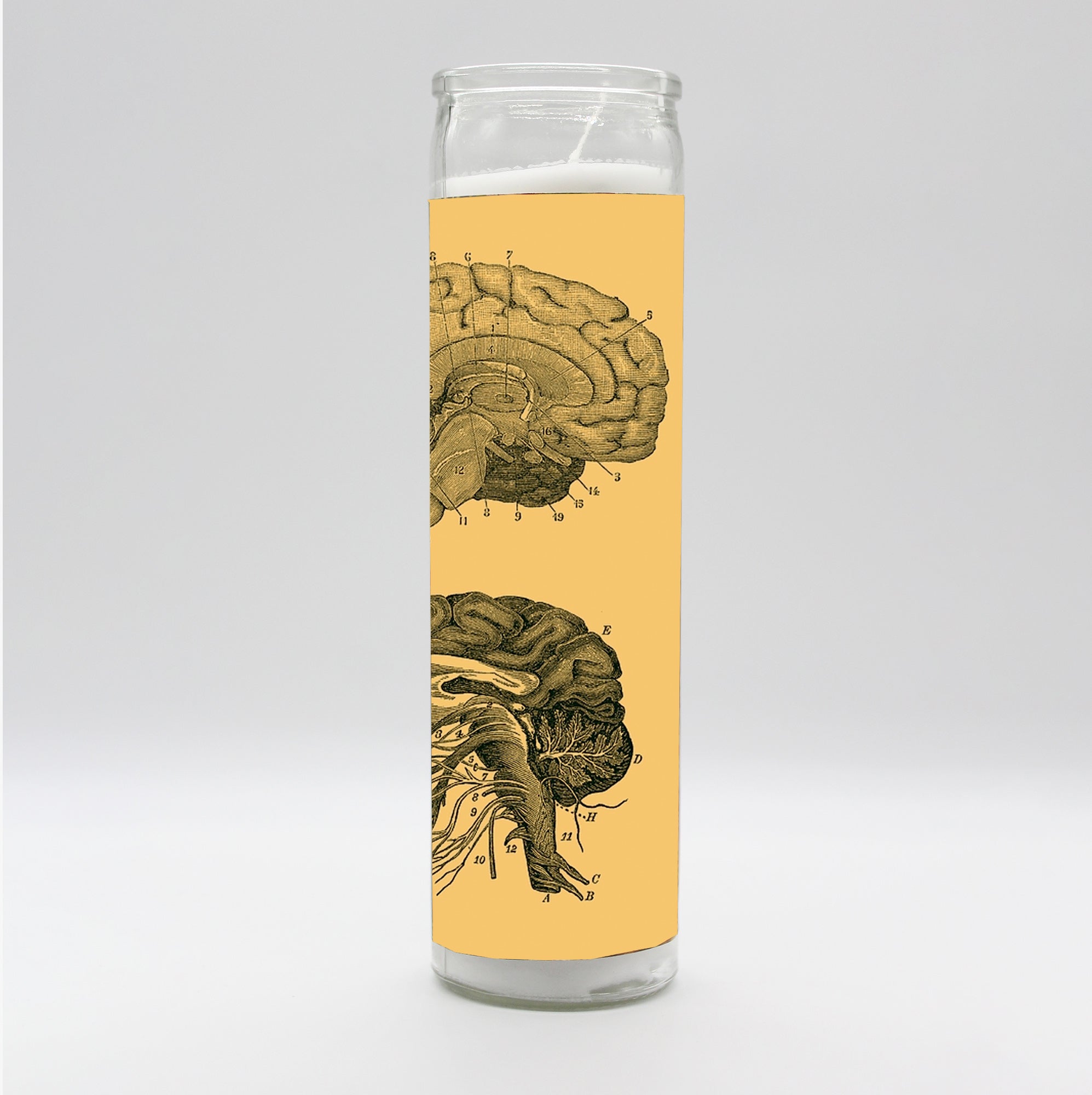 Saint Anatomy Design Candle Set