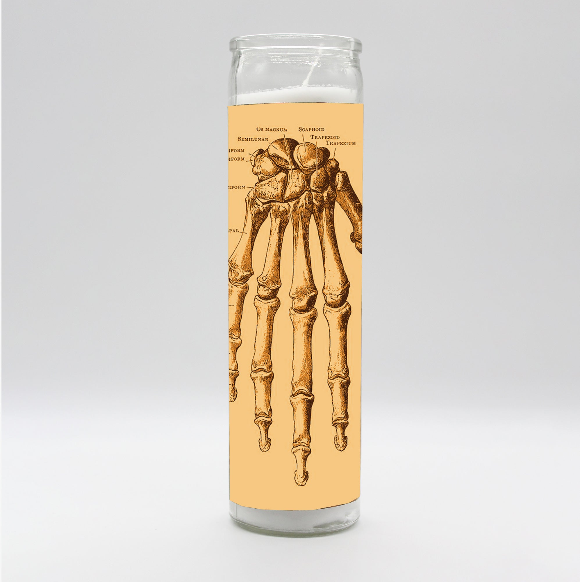 Saint Anatomy Design Candle Set