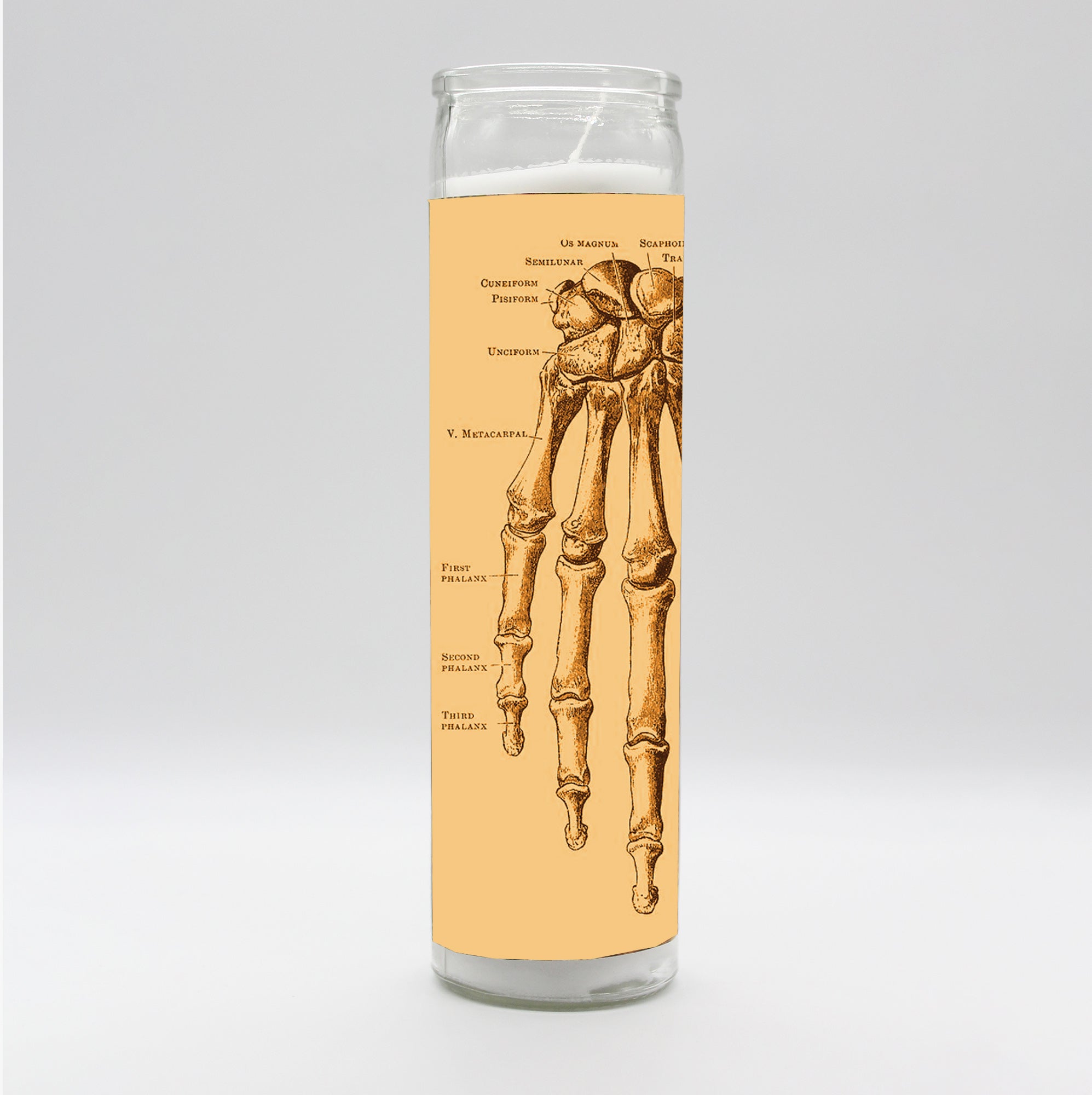Saint Anatomy Design Candle Set