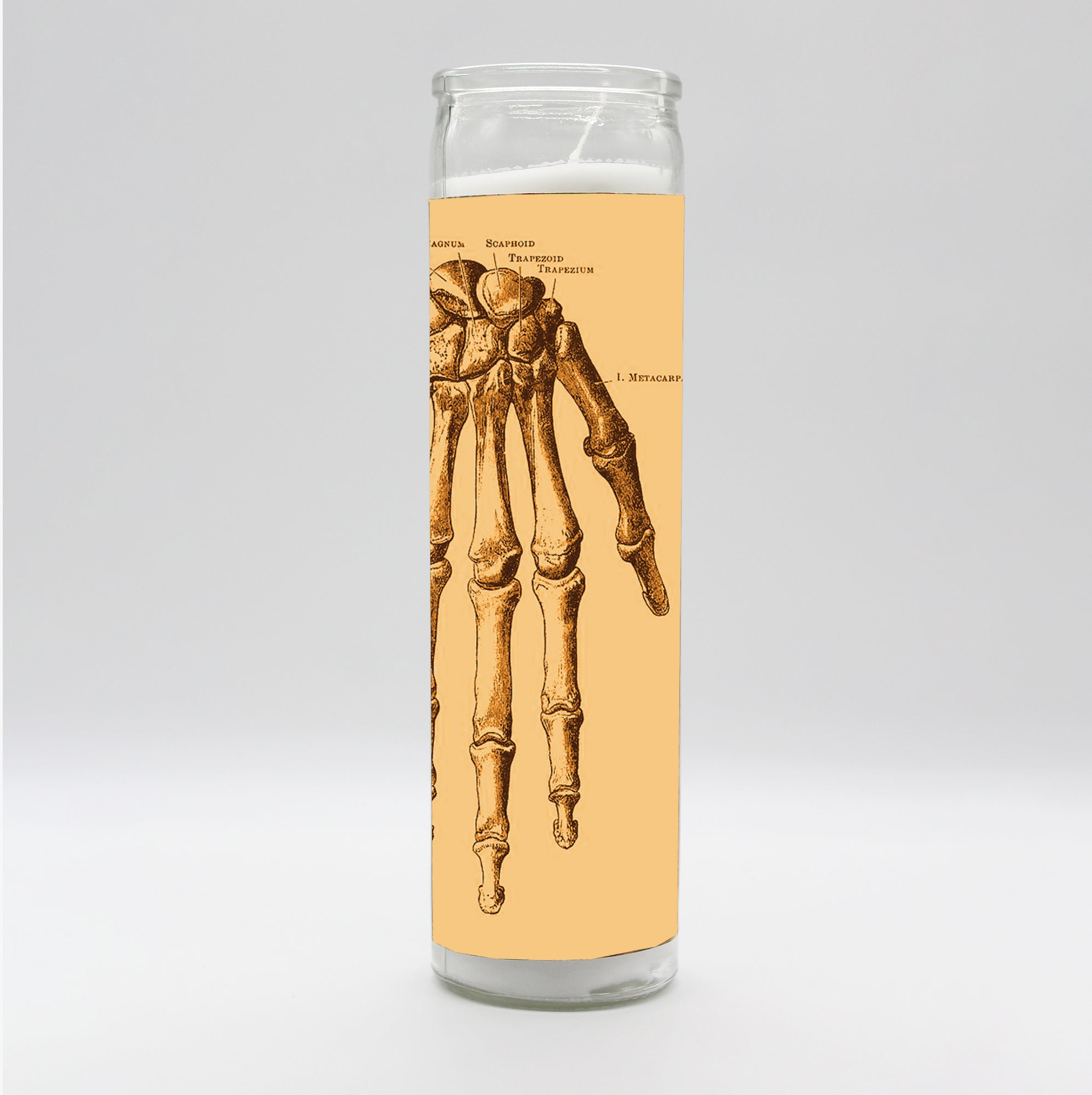 Saint Anatomy Design Candle Set