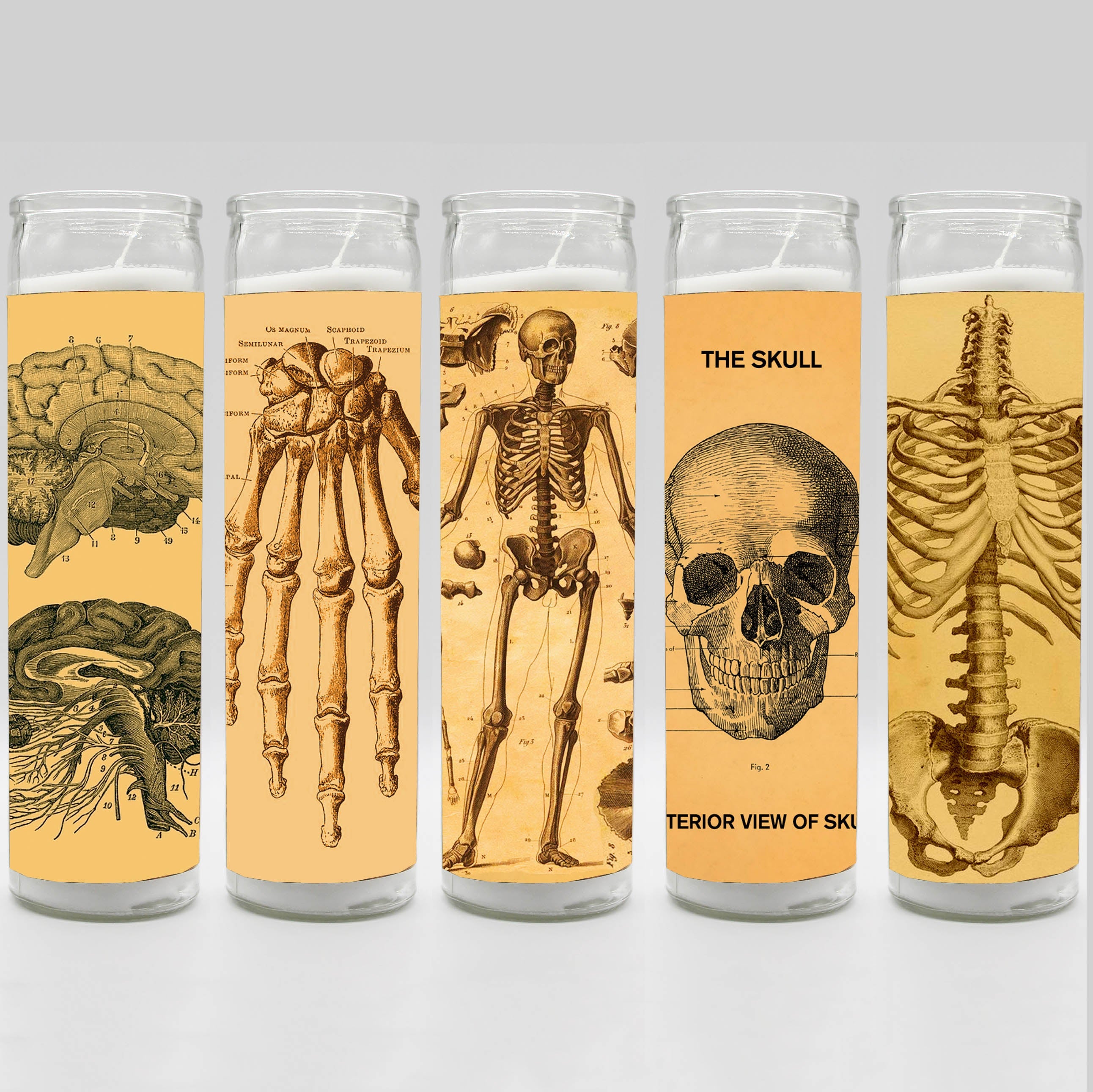 Saint Anatomy Design Candle Set
