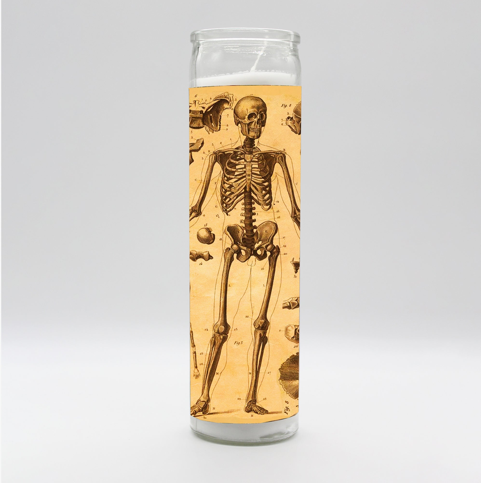 Saint Anatomy Design Candle Set