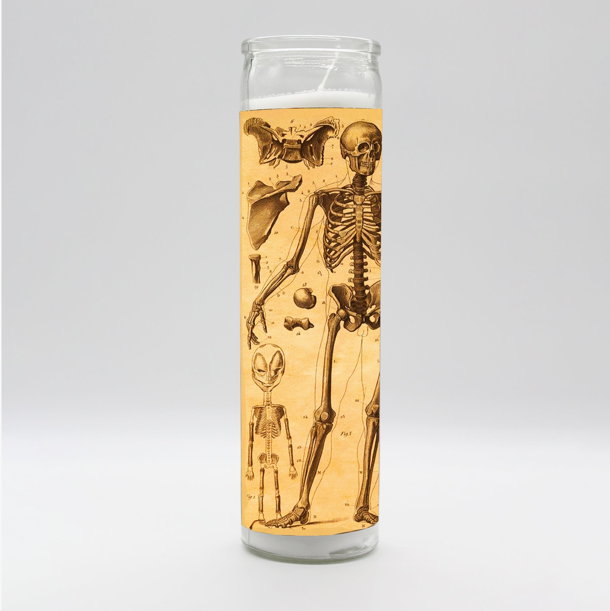 Saint Anatomy Design Candle Set