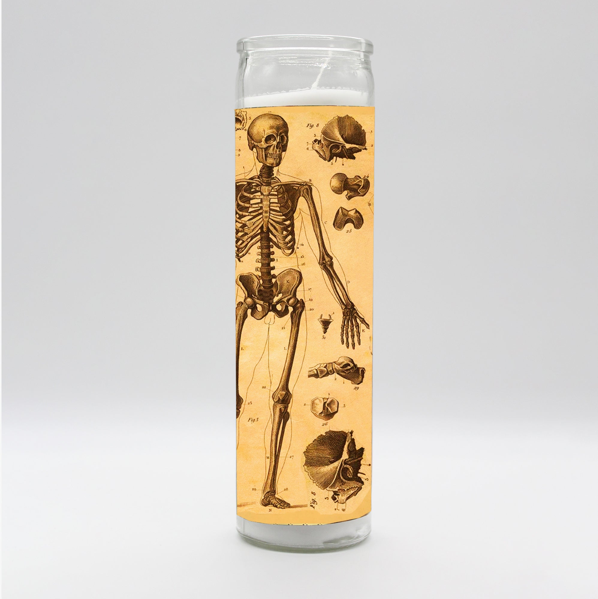 Saint Anatomy Design Candle Set