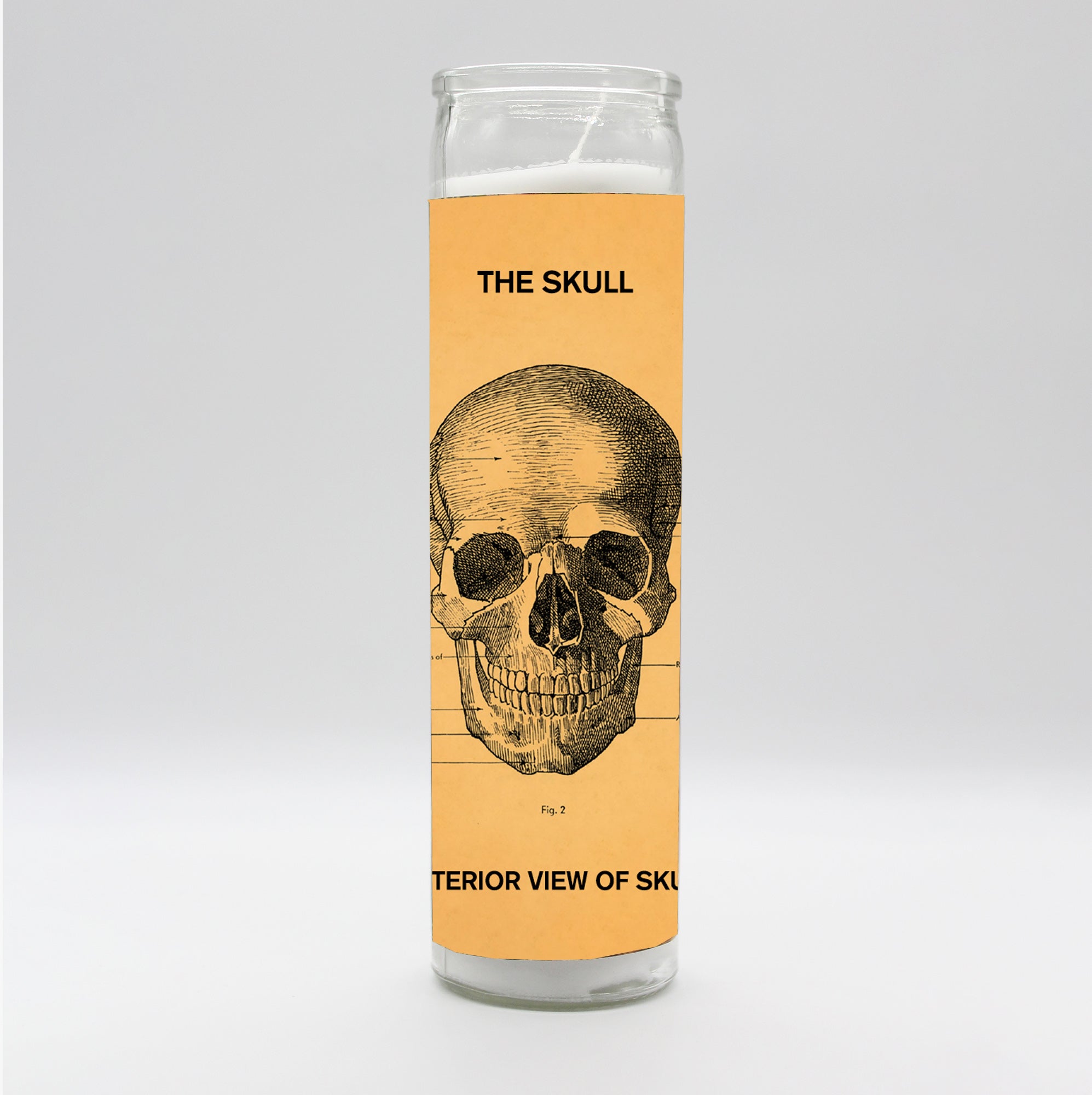 Saint Anatomy Design Candle Set