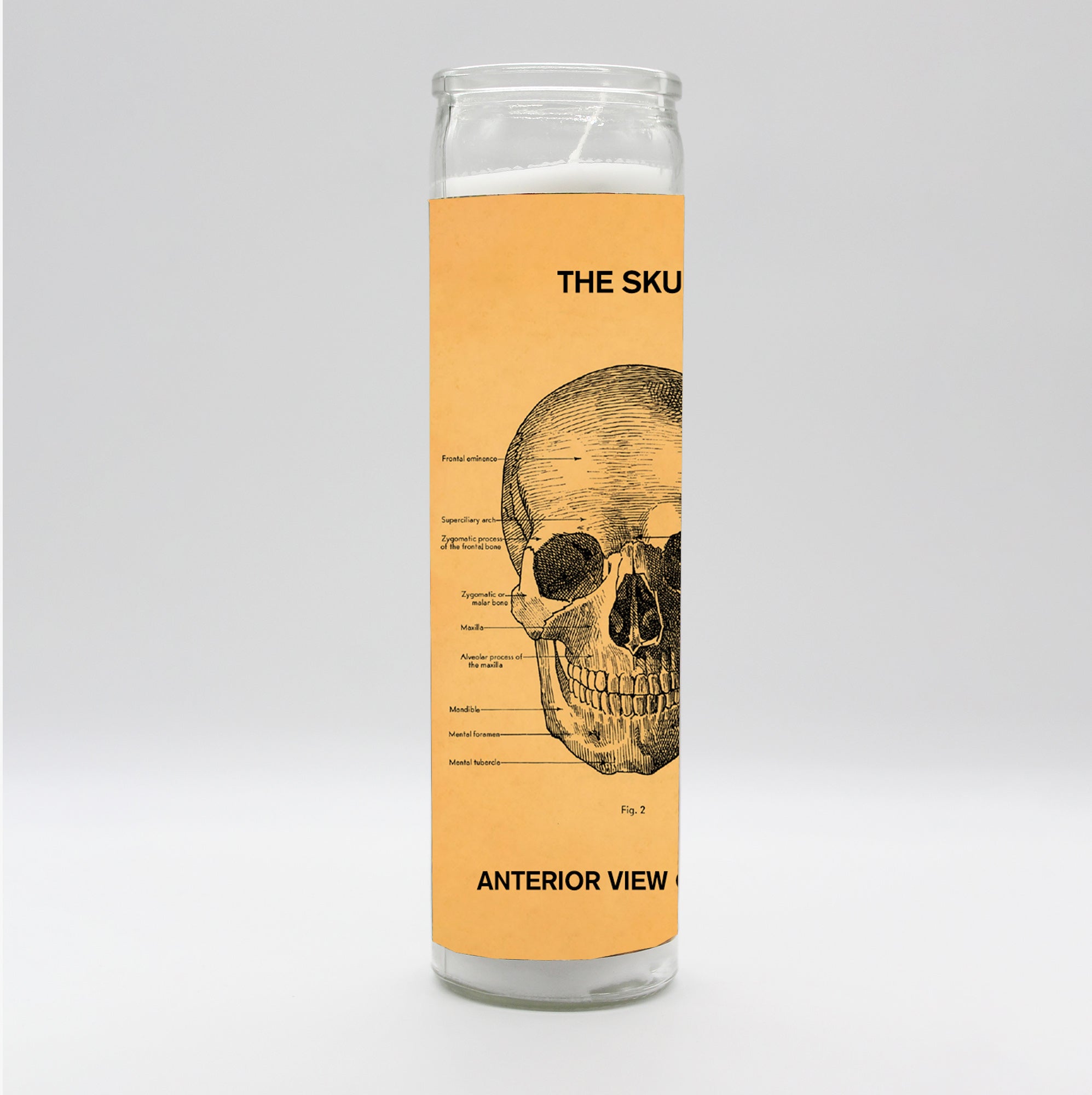 Saint Anatomy Design Candle Set