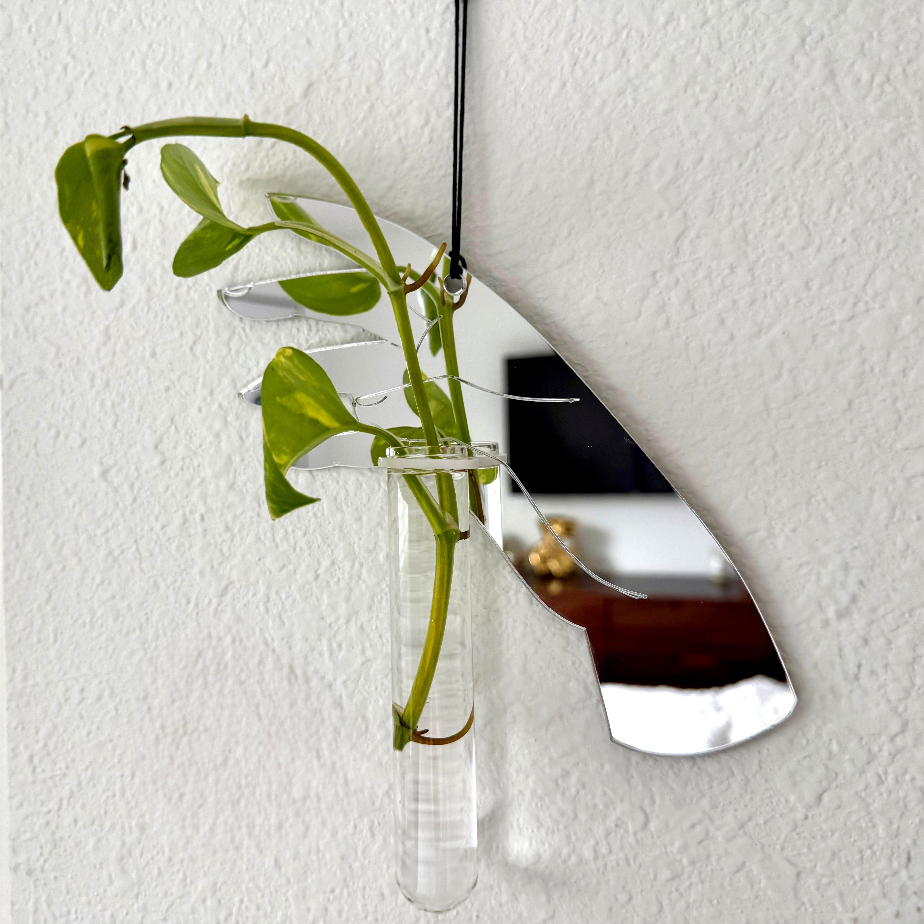 'Gimme That' Wall Propagation Station