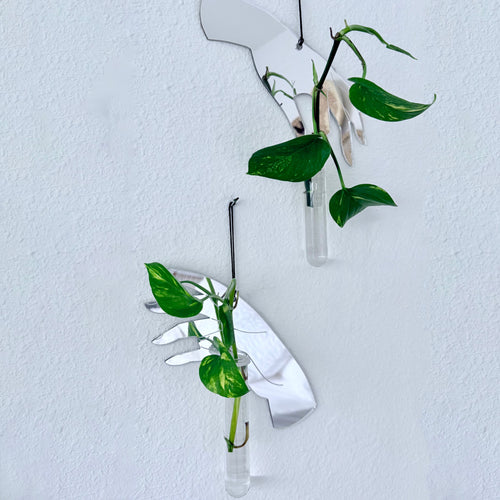 'Gimme That Tea' Wall Propagation Station Set