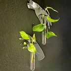 'Gimme That Tea' Wall Propagation Station Set