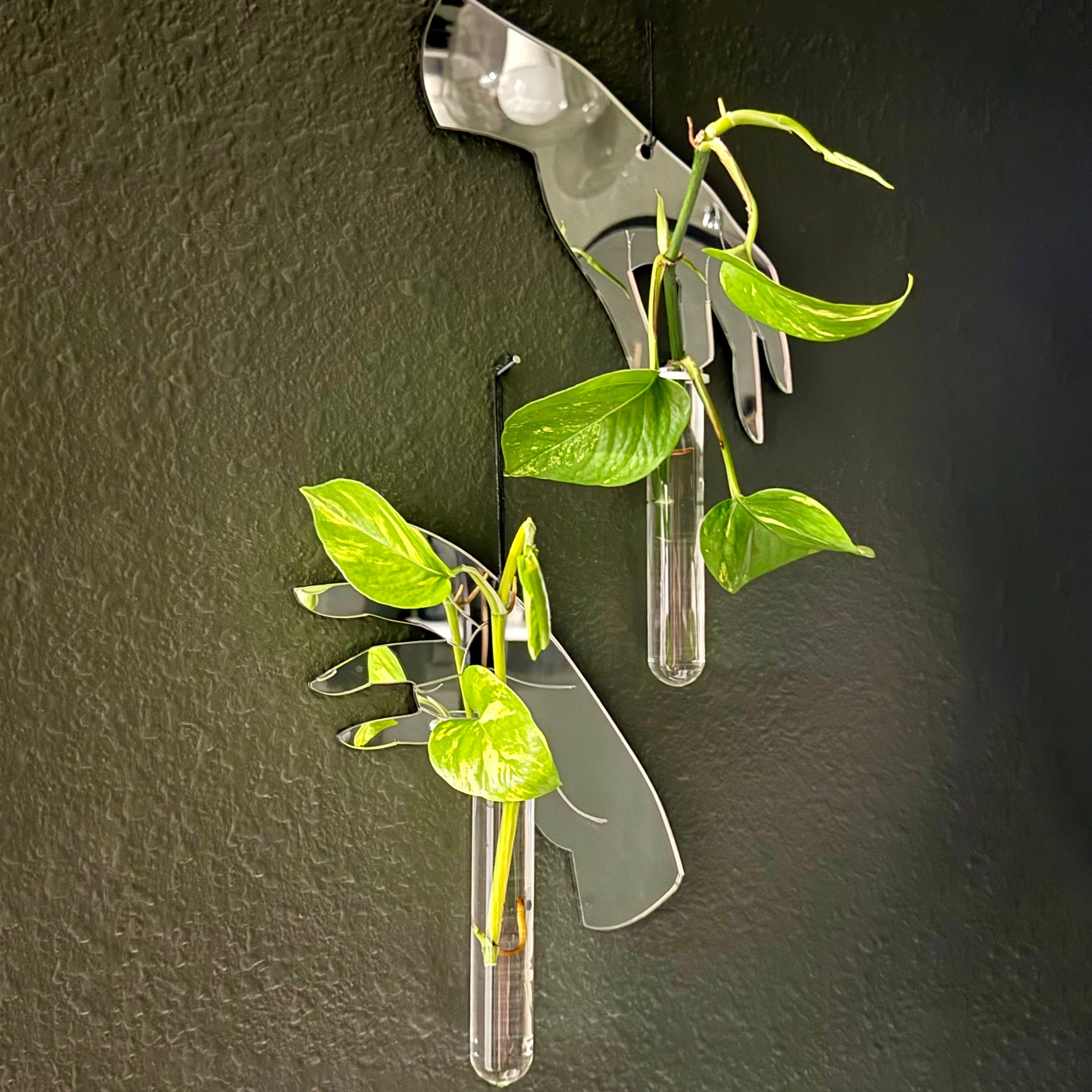 'Gimme That Tea' Wall Propagation Station Set