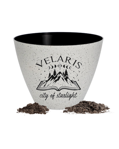 10" Fantasy Readers Planters