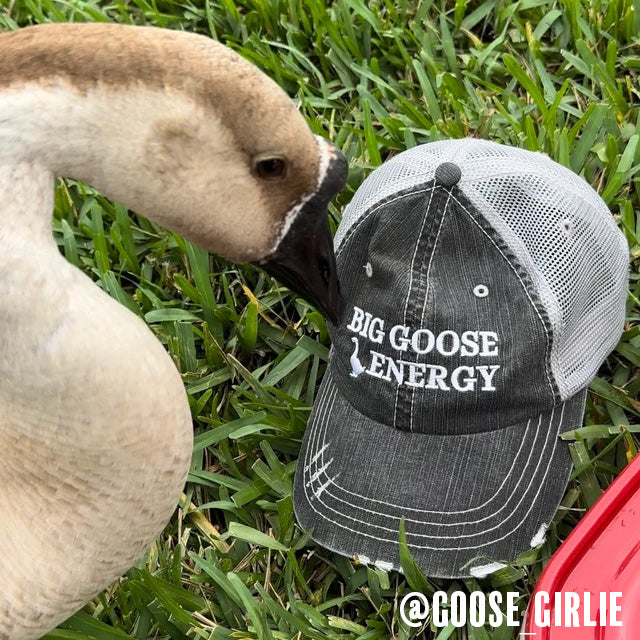 Big Goose Energy Trucker Dad Hat Funny Cap Shredded Navy Blue or Black Adjustable Hats